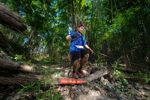 BIB: 
                            <button type="button" onclick="openModal(19388278)" class="btn btn-primary btn-sm float-right btn-popup" data-toggle="modal" data-target=".modal-high-quality">
                        <i class="fas fa-shopping-cart"></i> Add to Cart
                    </button>
                                            <button type="button" onclick="isThisMe(19388278, true)" class="btn btn-success btn-sm float-right btn-popup btn-isme hidden" data-toggle="tooltip" data-placement="bottom" title="นี่คือรูปของคุณใช่ไหม คลิกที่นี่เพื่อเอาเข้าอัลบั้ม">
                        <i class="fas fa-plus"></i> Add to album
                    </button>
                    <button type="button" onclick="isThisMe(19388278, false)" class="btn btn-warning btn-sm float-right btn-popup btn-isnotme hidden">
                        <i class="fas fa-ban"></i> Remove from album
                    </button>